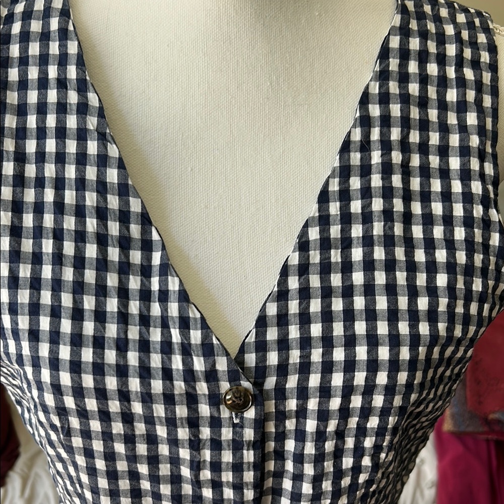 J Crew Blue and White Gingham Dress 6 - Picture 2 of 13